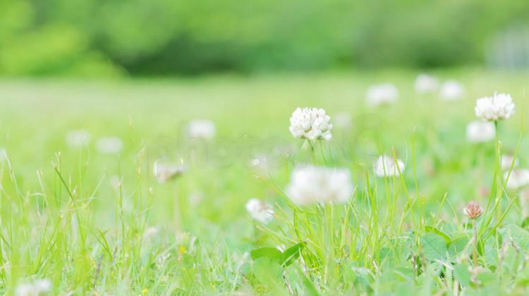 一路向东向阳简阳花花你去享受